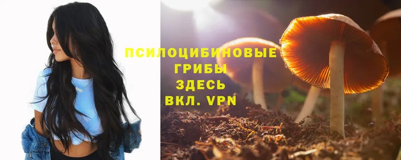 Галлюциногенные грибы Magic Shrooms  Бор 